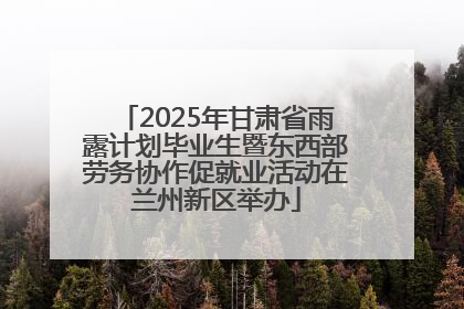 2025年甘肃省雨露计划毕业生暨东西部劳务协作促就业活动在兰州新区举办