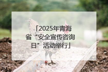 2025年青海省“安全宣传咨询日”活动举行