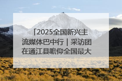 2025全国新兴主流媒体巴中行｜采访团在通江县瞻仰全国最大红军烈士陵园