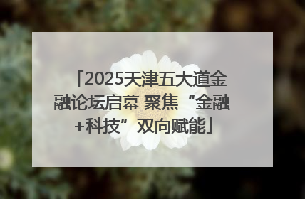 2025天津五大道金融论坛启幕 聚焦“金融+科技”双向赋能