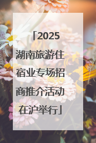 2025湖南旅游住宿业专场招商推介活动在沪举行