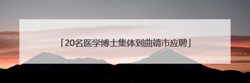 20名医学博士集体到曲靖市应聘