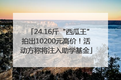 24.16斤“西瓜王”拍出10200元高价！活动方称将注入助学基金