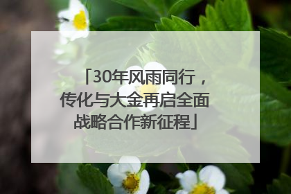 30年风雨同行，传化与大金再启全面战略合作新征程