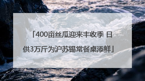 400亩丝瓜迎来丰收季 日供3万斤为沪苏锡常餐桌添鲜