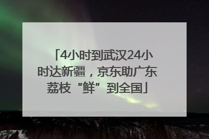 4小时到武汉24小时达新疆，京东助广东荔枝“鲜”到全国