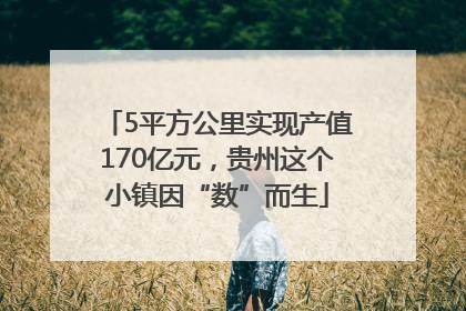 5平方公里实现产值170亿元，贵州这个小镇因“数”而生