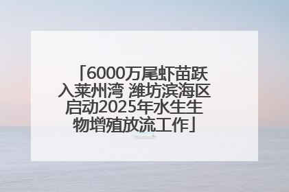 6000万尾虾苗跃入莱州湾 潍坊滨海区启动2025年水生生物增殖放流工作