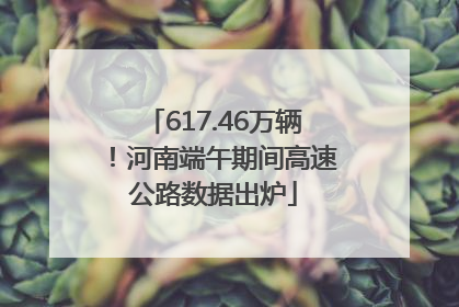 617.46万辆！河南端午期间高速公路数据出炉