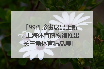 99件珍贵展品上新，上海体育博物馆推出长三角体育精品展