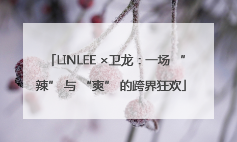 LINLEE ×卫龙：一场 “辣” 与 “爽” 的跨界狂欢